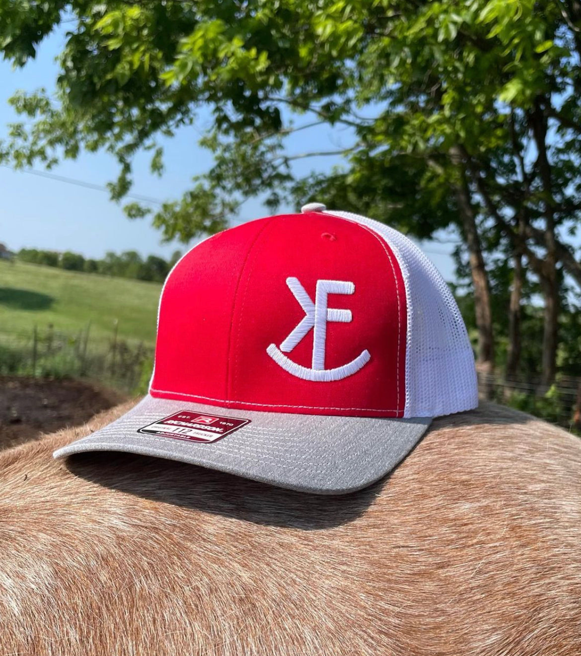 Red/Gray/White Brand Cap