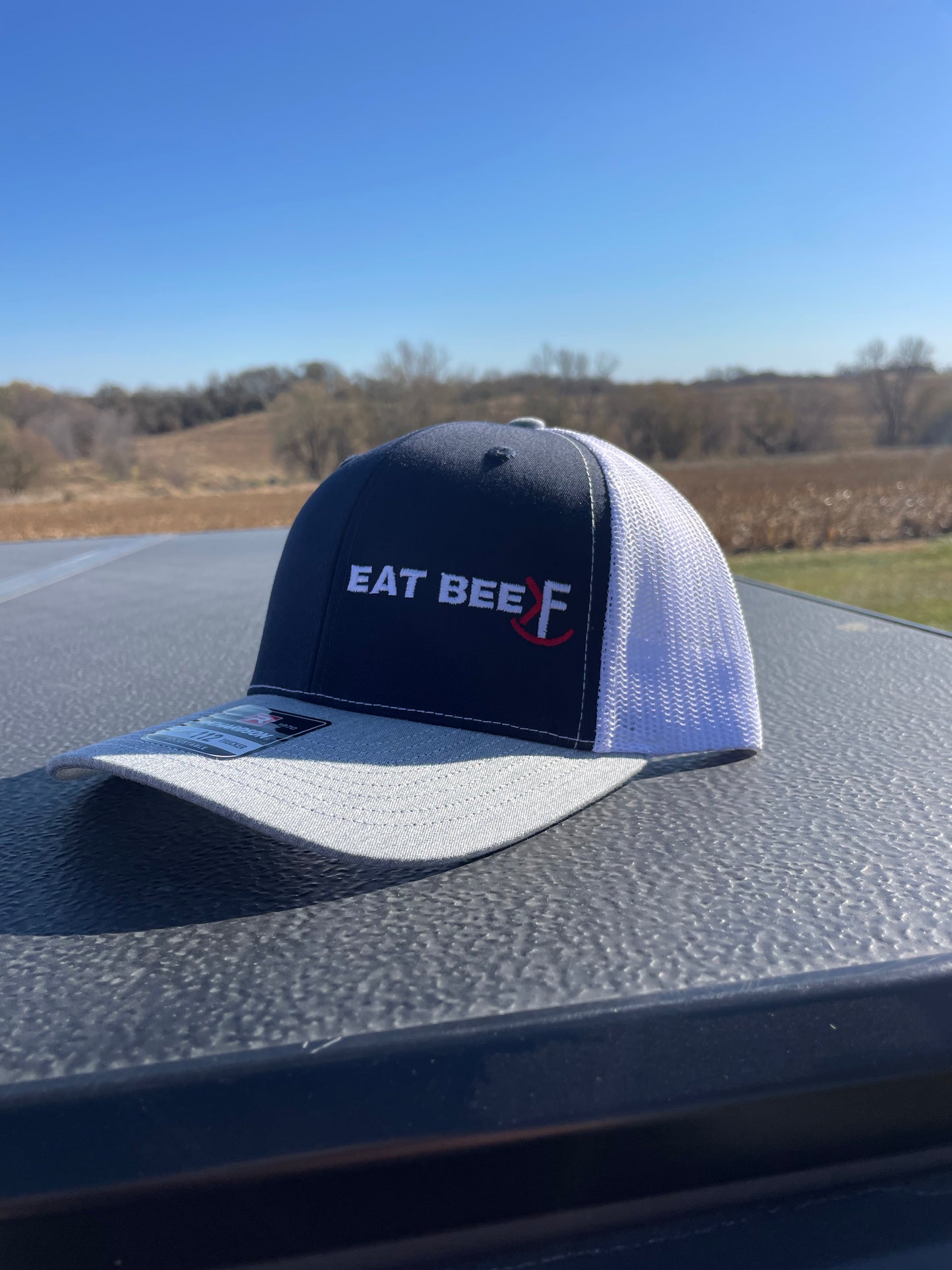Navy/white/gray EAT BEEF Cap