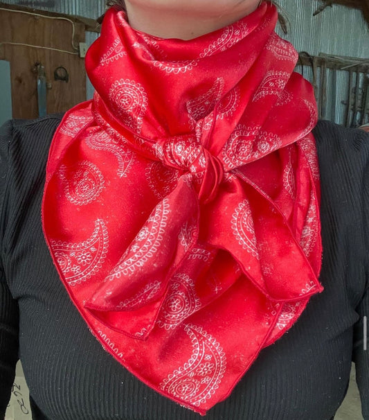 Red Paisley Rag